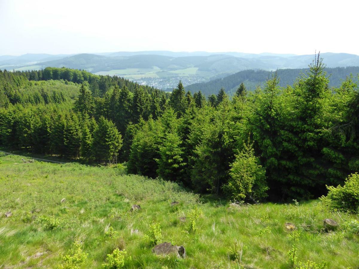 Appartamento Kueken Winterberg Esterno foto